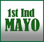 Political innovation in Co Mayo - the 1st Independent Mayo project catches the imagination of the electorate..